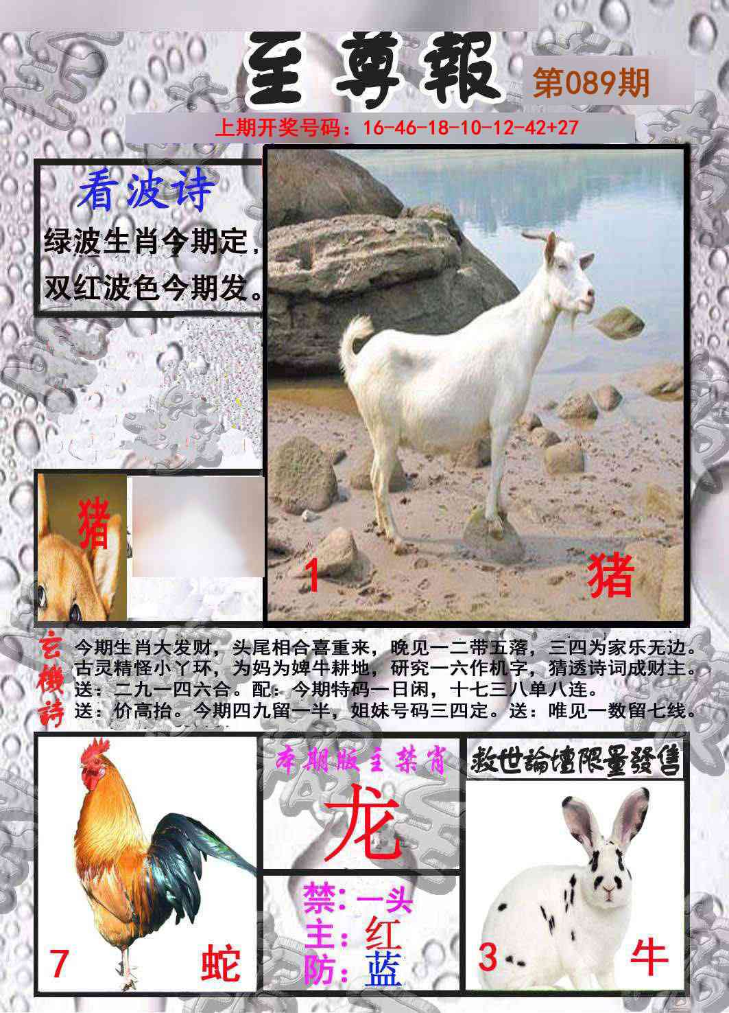 089期至尊报[图]